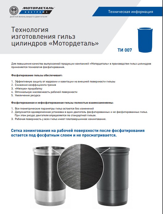 ГИЛЬЗЫ 2.jpg ГИЛЬЗЫ 2.jpg
